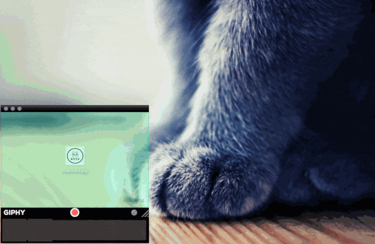 f:id:marorika:20180326222648g:plain GIPHYの使い方