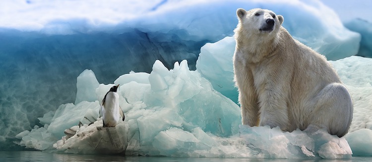 f:id:marorika:20180410013609j:plain f:id:marorika:20180410013609j:plain