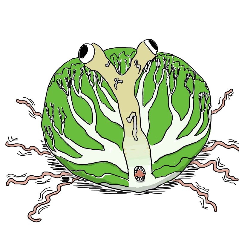 f:id:marorom:20190602121515j:plain