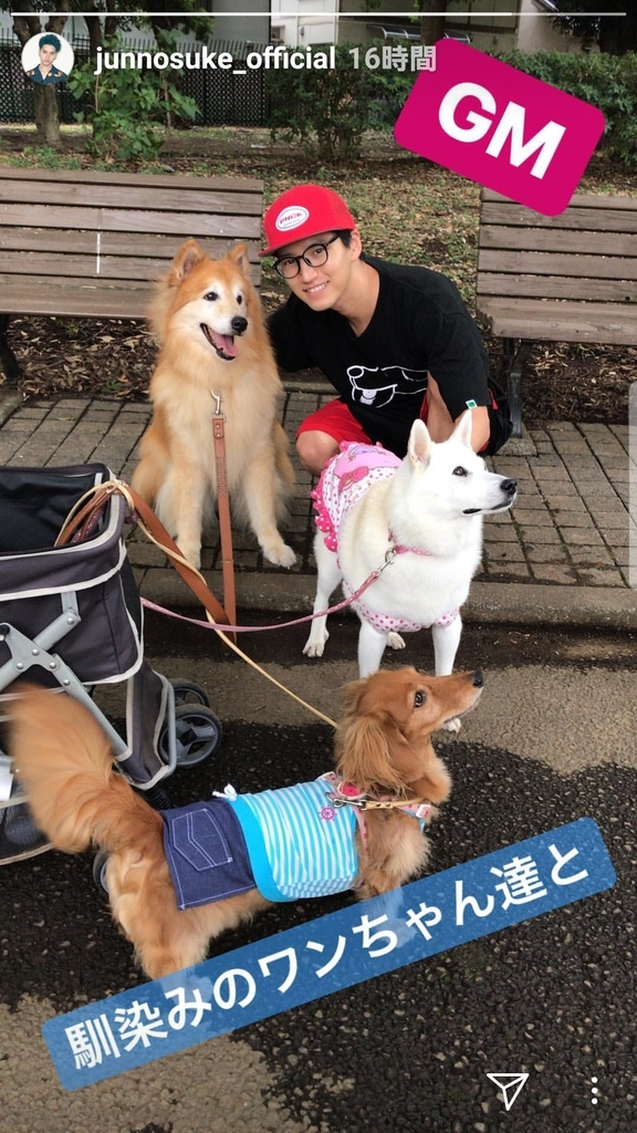 f:id:marosakura:20180903155428j:plain