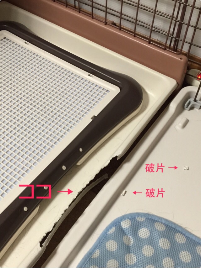 f:id:marron0730:20160616004033j:plain f:id:marron0730:20160616004033j:plain
