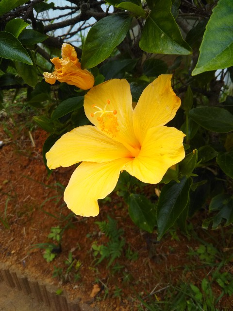 f:id:marron0910:20200125102844j:image