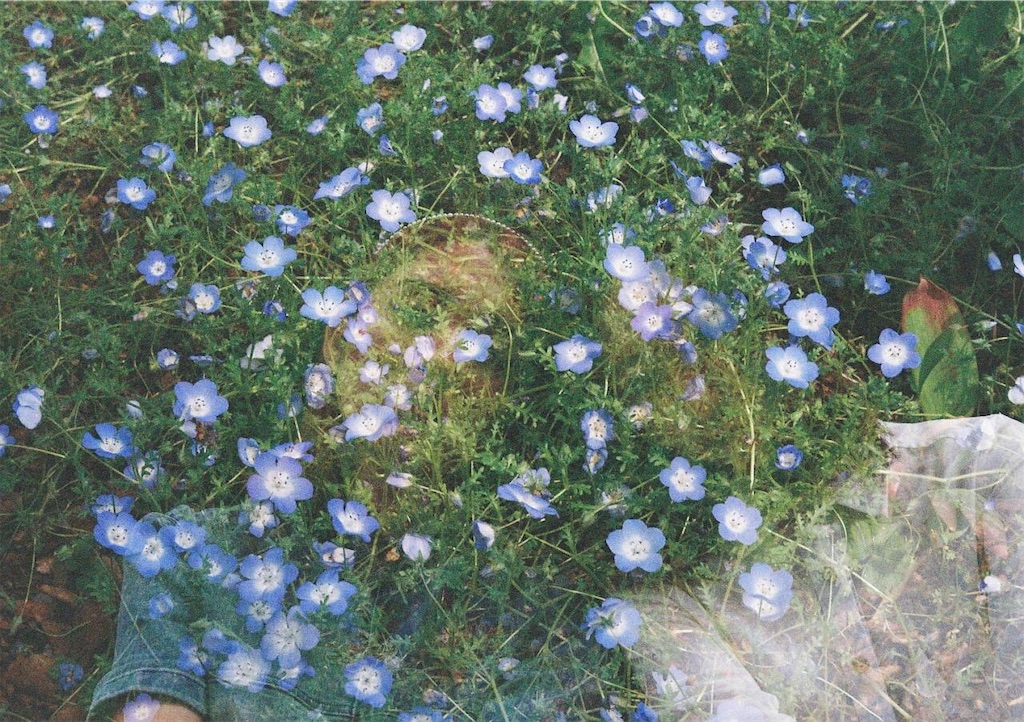 f:id:marron_creampuff:20210428171524j:image
