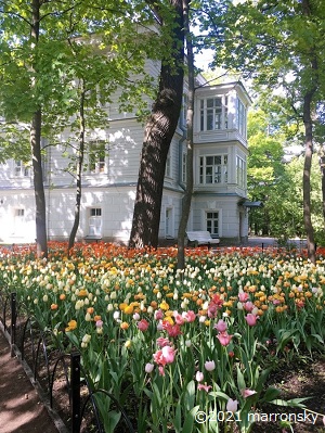 f:id:marronsky:20210603223419j:plain