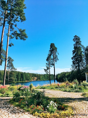 f:id:marronsky:20210924165027j:plain