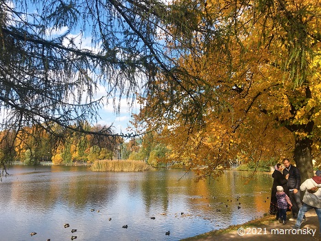 f:id:marronsky:20211005004125j:plain