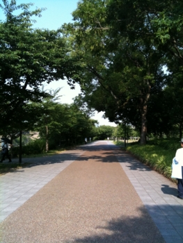f:id:marrry:20100615225456j:image