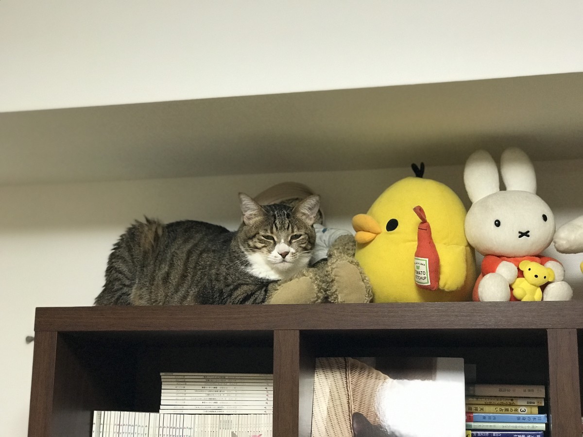 f:id:mars_and_moo:20190504223848j:plain f:id:mars_and_moo:20190504223848j:plain