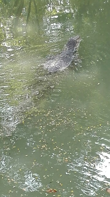 f:id:marsabangkok:20161025134011j:plain f:id:marsabangkok:20161025134011j:plain