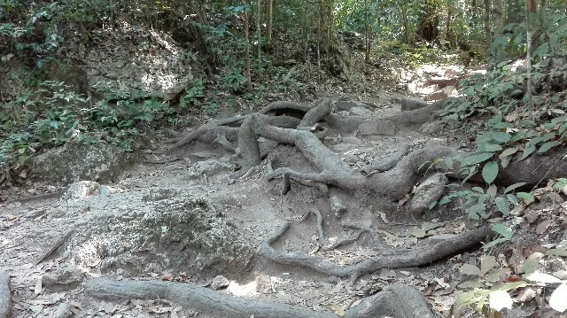 f:id:marsabangkok:20170130224240j:plain f:id:marsabangkok:20170130224240j:plain