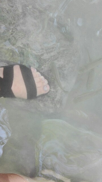 f:id:marsabangkok:20170130234240j:plain f:id:marsabangkok:20170130234240j:plain