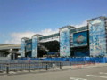 a-nation チェリー 090815