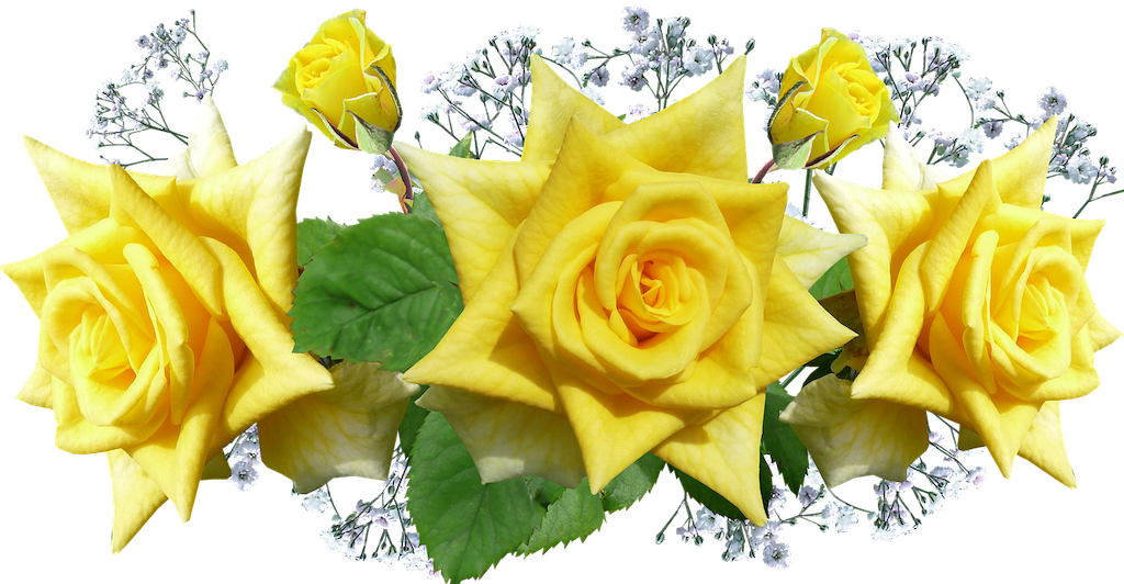 f:id:mart_staff:20190616094250p:image f:id:mart_staff:20190616094250p:image