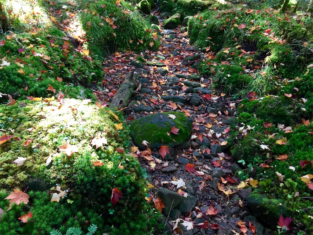 f:id:martian-0105:20171015110709j:image