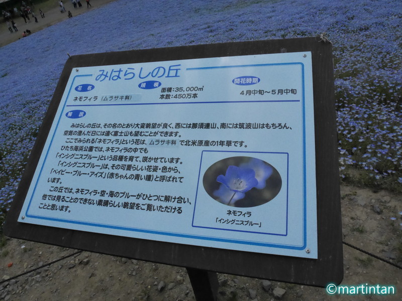 f:id:martintan:20171225214544j:plain f:id:martintan:20171225214544j:plain