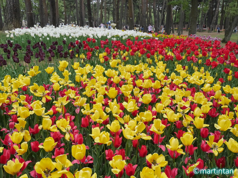 f:id:martintan:20171225215012j:plain f:id:martintan:20171225215012j:plain