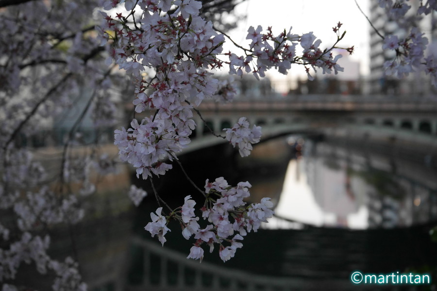 f:id:martintan:20180331230809j:plain