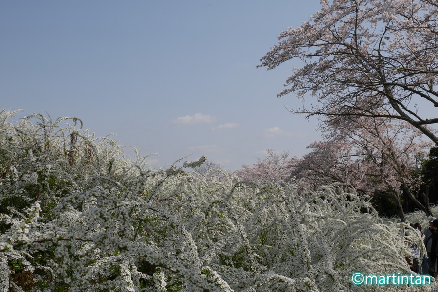 f:id:martintan:20180408233812j:plain