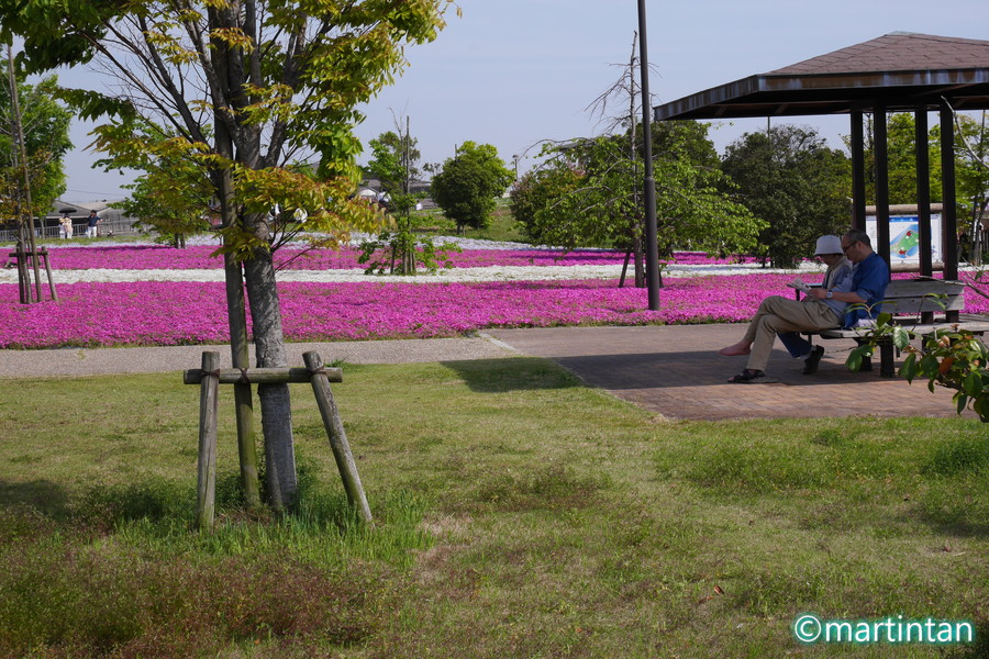f:id:martintan:20180428115646j:plain