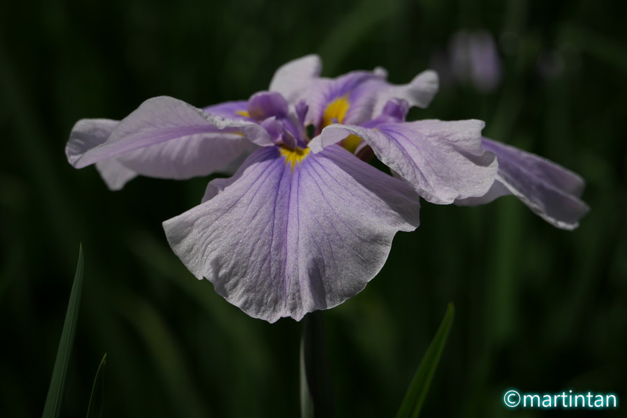 f:id:martintan:20180609233134j:plain