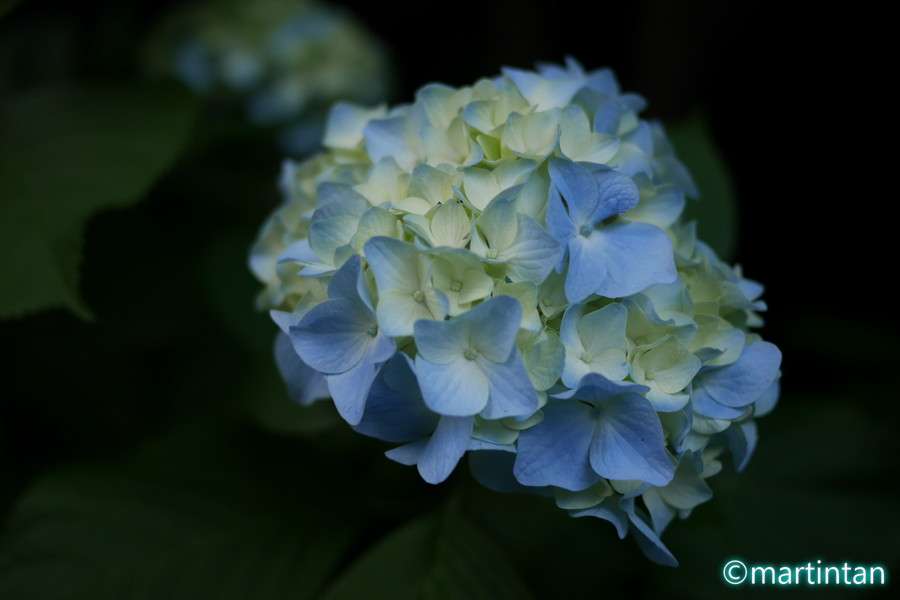 f:id:martintan:20180609234216j:plain