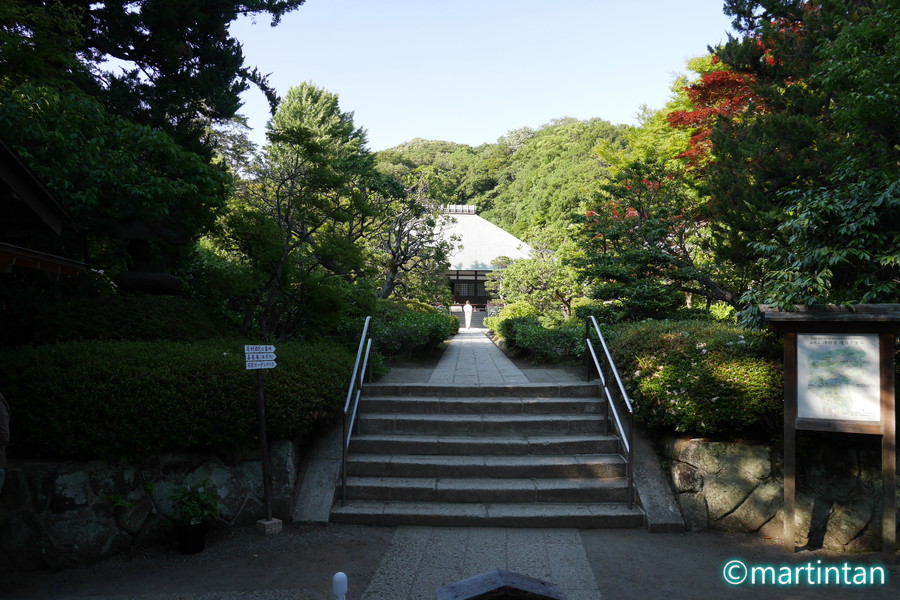 f:id:martintan:20180701152225j:plain f:id:martintan:20180701152225j:plain
