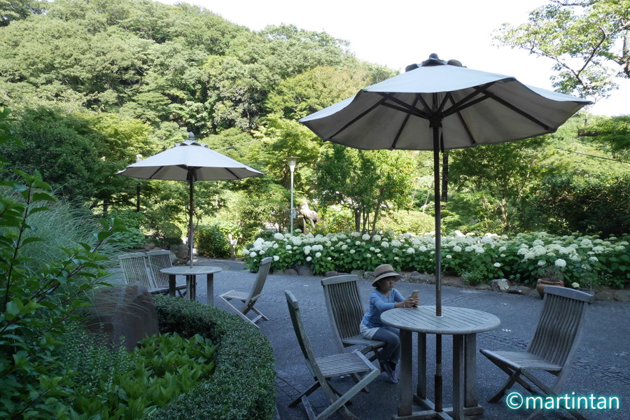 f:id:martintan:20180701152559j:plain f:id:martintan:20180701152559j:plain