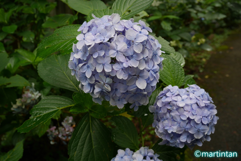 f:id:martintan:20180902170403j:plain