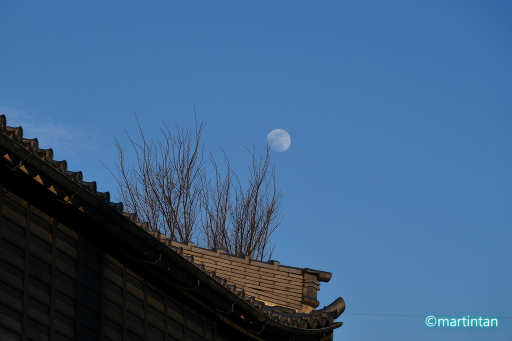 f:id:martintan:20190126191911j:plain