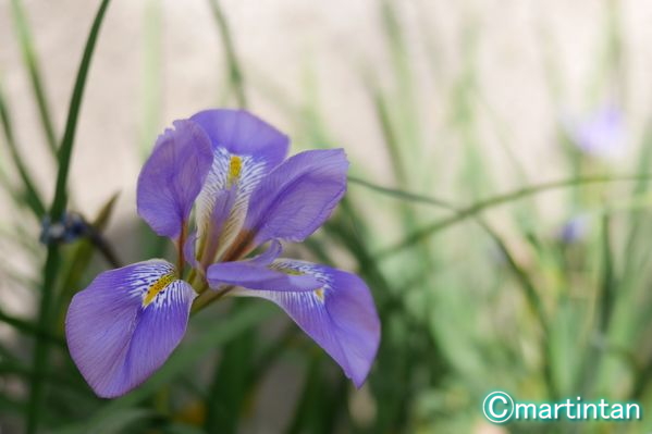 f:id:martintan:20190214084540j:plain f:id:martintan:20190214084540j:plain