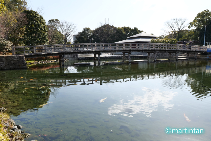 f:id:martintan:20190214092202j:plain f:id:martintan:20190214092202j:plain