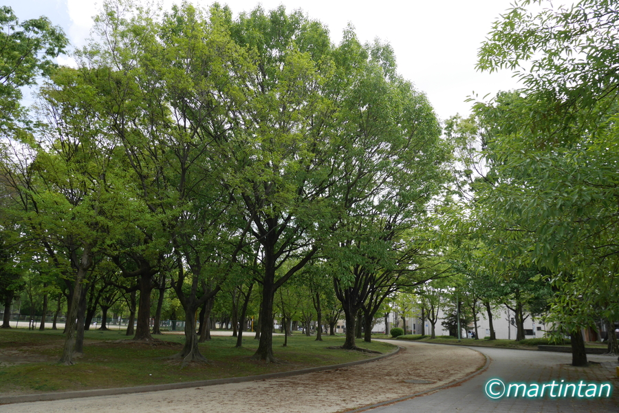 f:id:martintan:20190505230436j:plain f:id:martintan:20190505230436j:plain