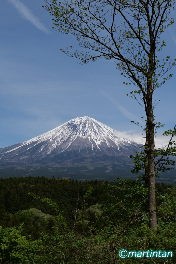 f:id:martintan:20190507161738j:plain f:id:martintan:20190507161738j:plain