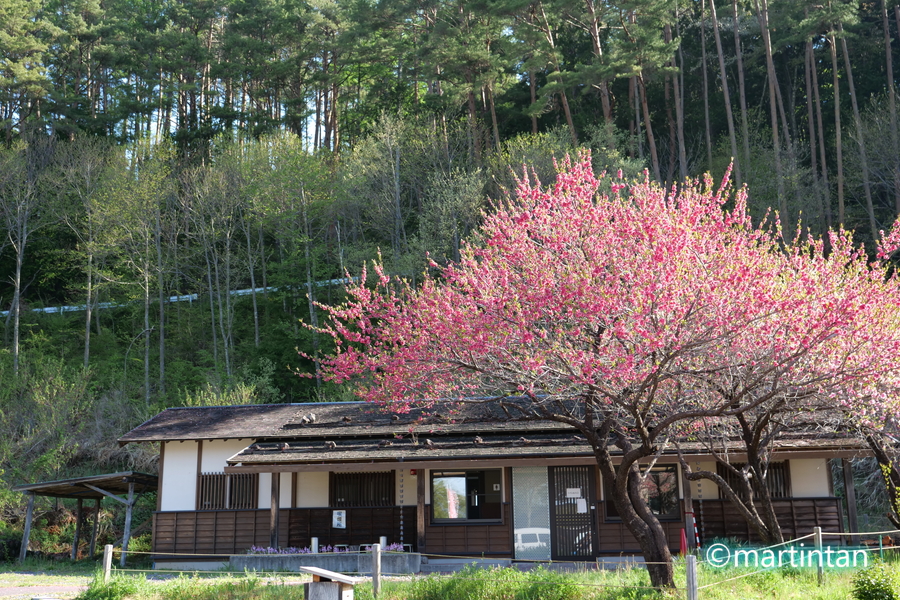 f:id:martintan:20190525170729j:plain f:id:martintan:20190525170729j:plain