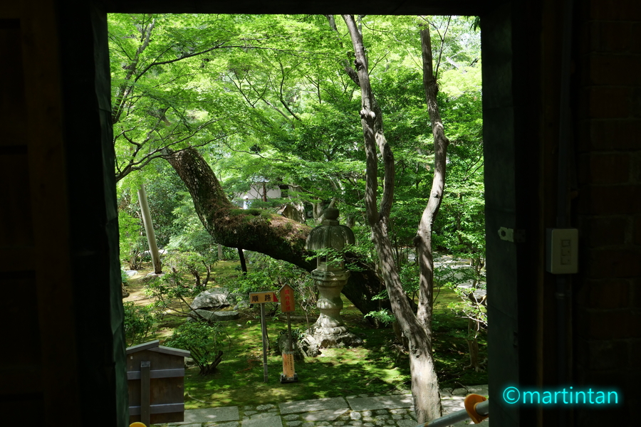 f:id:martintan:20190612012322j:plain f:id:martintan:20190612012322j:plain