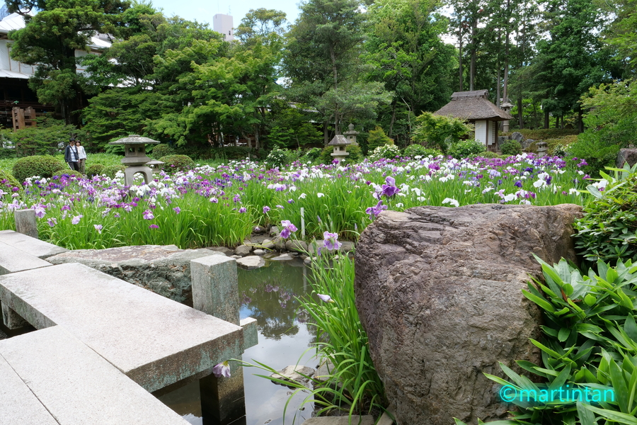 f:id:martintan:20190615230332j:plain