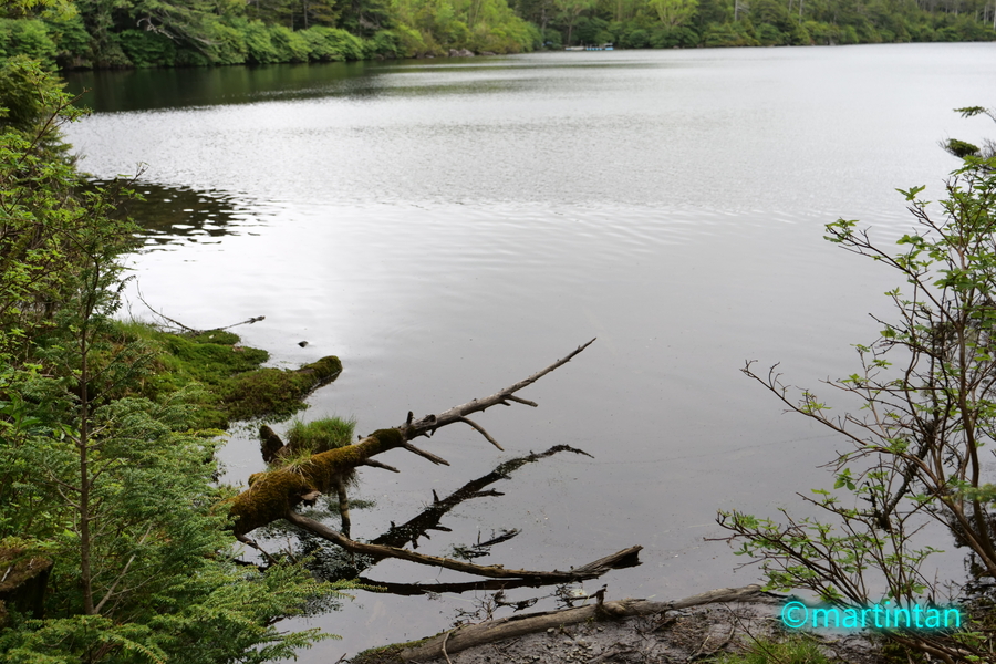 f:id:martintan:20190705143931j:plain f:id:martintan:20190705143931j:plain