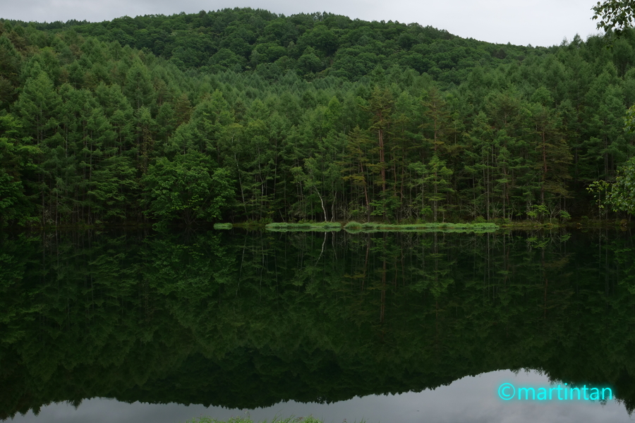 f:id:martintan:20190709090505j:plain