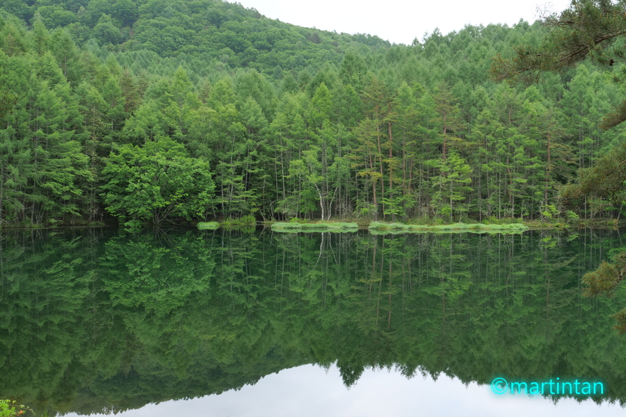 f:id:martintan:20190709090753j:plain