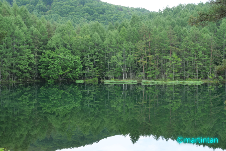 f:id:martintan:20190709090914j:plain