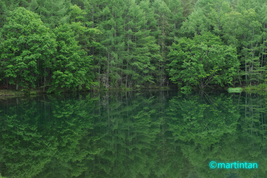 f:id:martintan:20190709090958j:plain