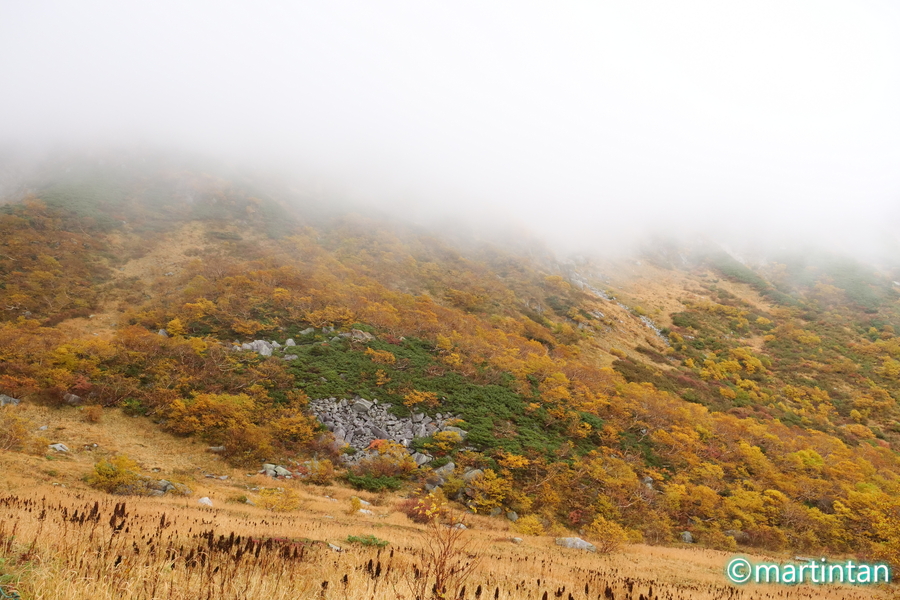 f:id:martintan:20191027100159j:plain