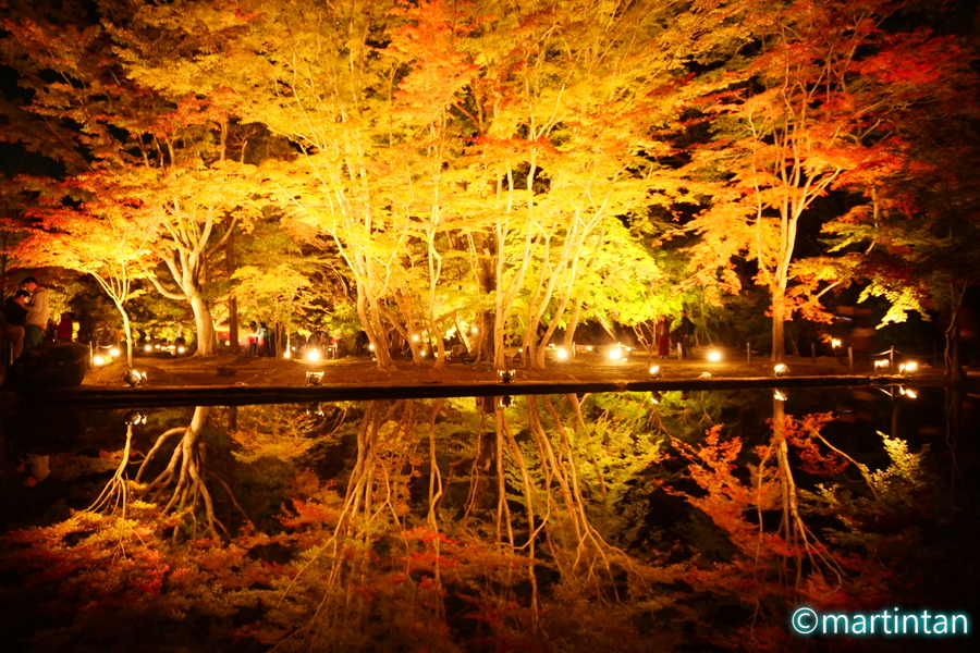 令和1年11月11日 R1 11 11 3年目開始記念 逆さ紅葉画像先行公開 小さな旅 美しい風景 写真 そして温泉と銭湯