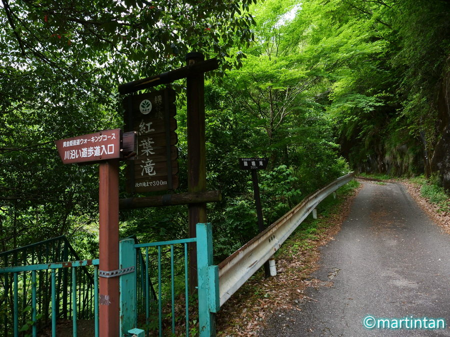 もう一つの横谷峡 5 鶏鳴滝 けいめいたき と黄色い可憐な花 小さな旅 美しい風景 写真 そして温泉と銭湯