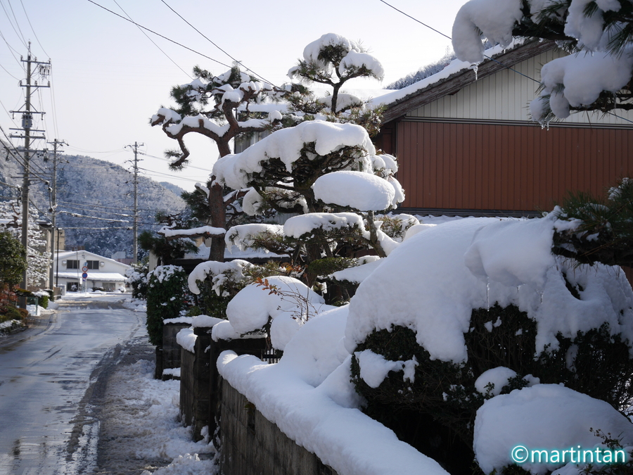 長良川鉄道 6 郡上八幡の美味しい蕎麦屋と岐阜県の隠れた観光地紹介 小さな旅 美しい風景 写真 そして温泉と銭湯