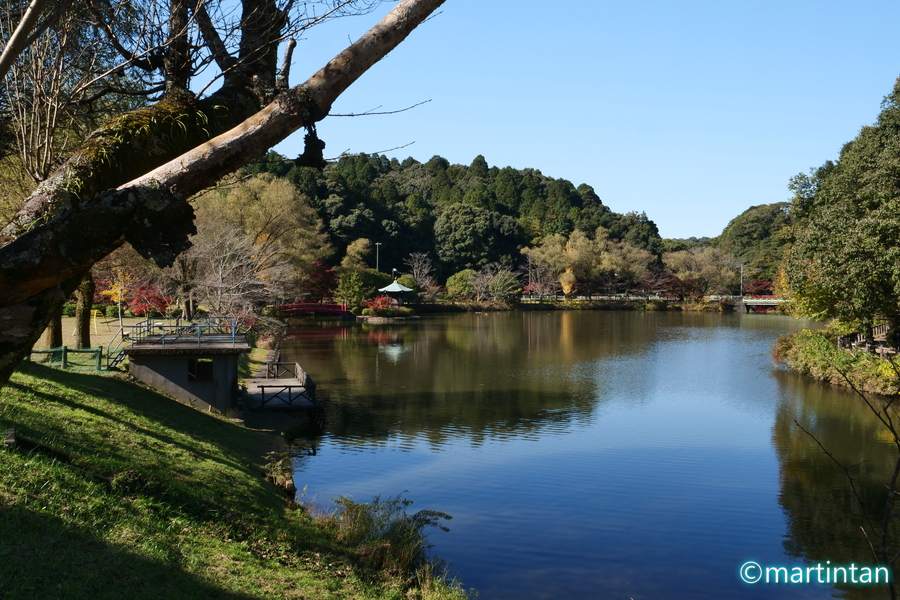 定光寺および定光寺公園の紅葉 1 ー 定光寺公園の紅葉と水鳥 小さな旅 美しい風景 写真 そして温泉と銭湯