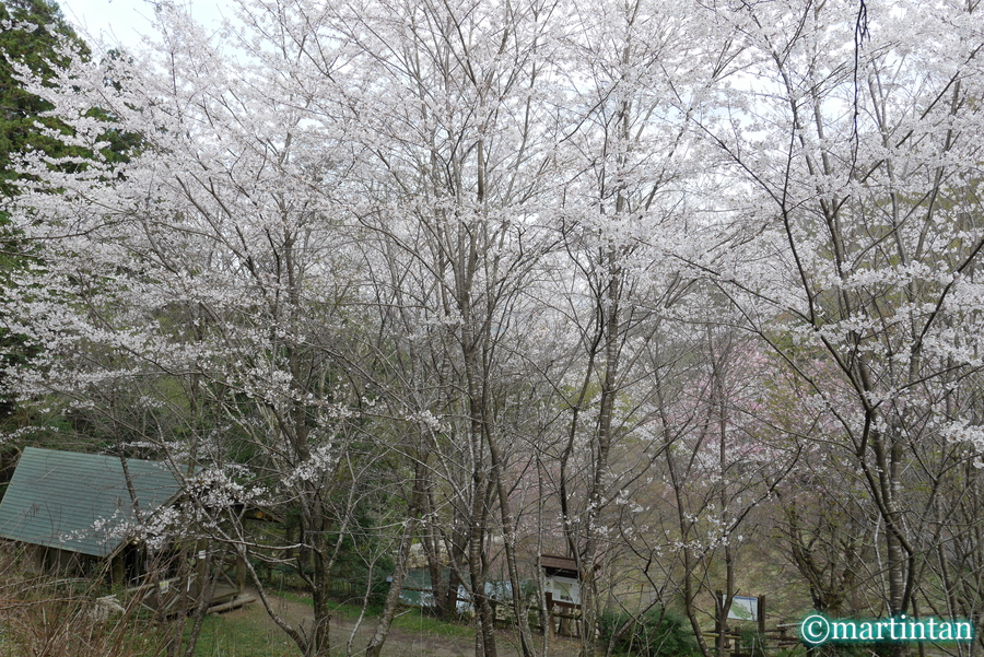 f:id:martintan:20220408153308j:plain