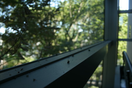 f:id:martoma:20120808162047j:image f:id:martoma:20120808162047j:image