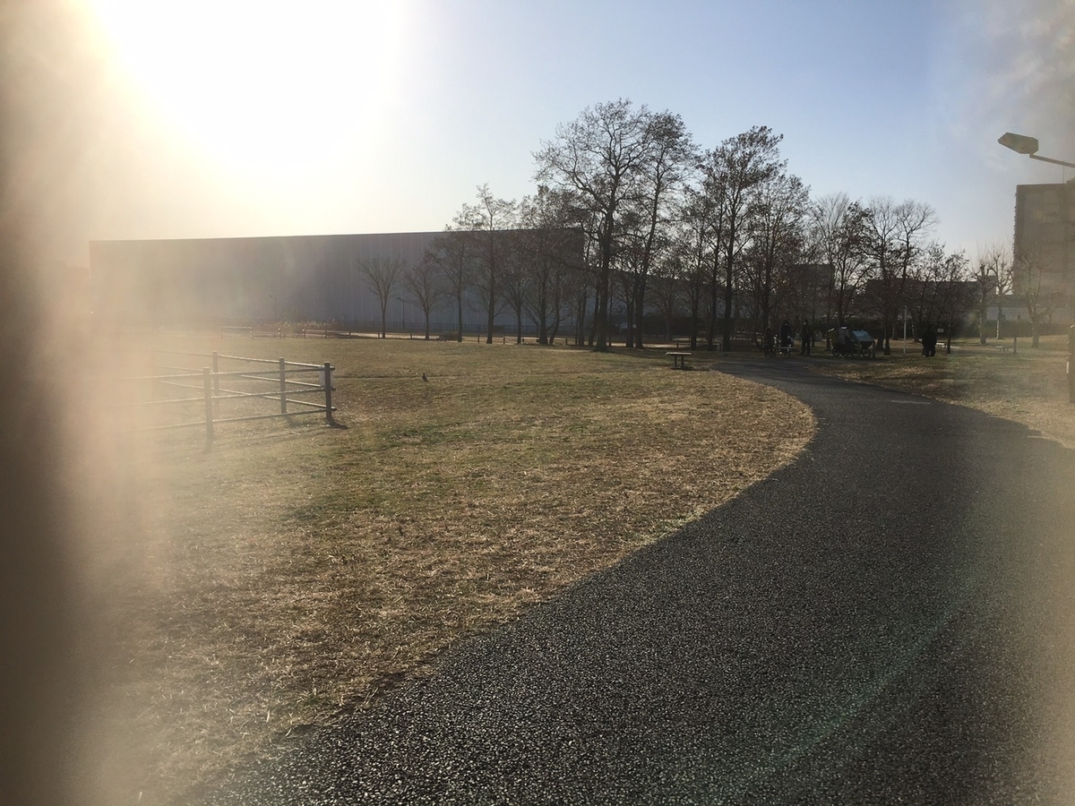 f:id:maru-hoiku:20210109212357j:plain