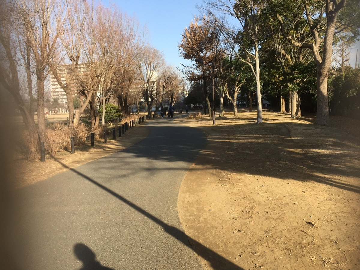 f:id:maru-hoiku:20210109212422j:plain